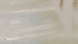 Funny_animals_-_Funny_cats___dogs_-_Funny_animal_videos_274(720p).