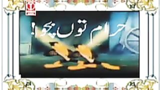 WAPSPOT.MOBI_Punjabi Totay Funny Animal  video