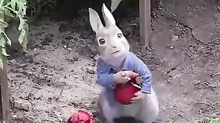 Lovely video