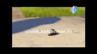 Punjabi Funny Videos - Funny Videos 2015 - Punjabi Totay 2015.