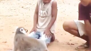 This Animal is very Intelligent