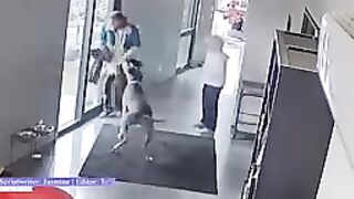 ANIMALS SAVED HUMAN