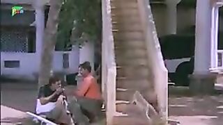 Animals funny