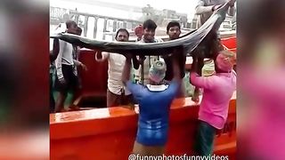Funny Videos Stupid Fails hahaha