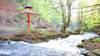 Relaxing Music/ Calmness/ Mind fullness/ Nature/ Meditation