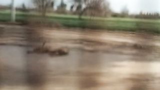 This is incredible video