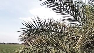 Beautiful seen in village