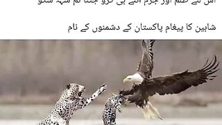 Jab zawal shuru hota hai tou