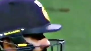 Cricket