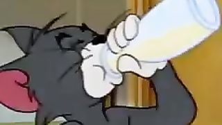 Hijinks | Tom & Jerry