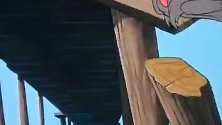 Tom vs Jerry new carton