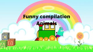 funny compilation Animals Funny animals