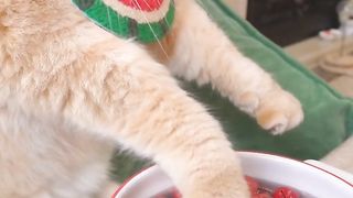 1 minute craft video,