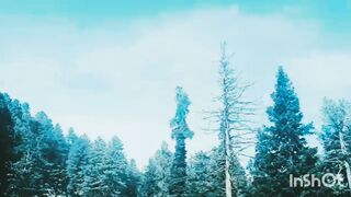 Jannat e kashmir ###traval vlog best palace kashmir ###kashmir soo beautiful