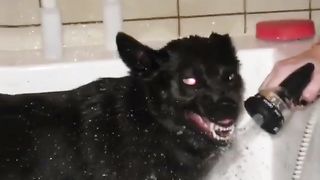 Voy bòò