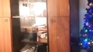 Funny cats enjoying with tricks