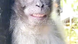 Funny video????????????