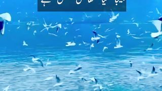 Depression kya hota hai|the holyquran paradise #2023