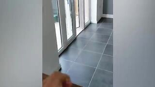 Les animaux les plus drôles