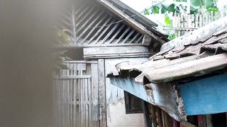 Memberi Makan Ayam Bangkok