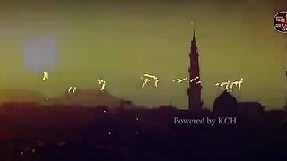 Nic video