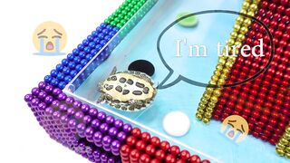 How To Build Mini Swimming Pool For Pet From Magnetic Balls