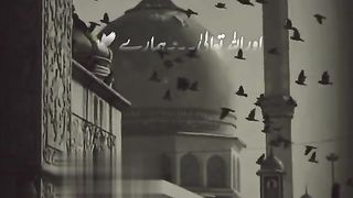 beautiful status video...