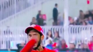 Cricket highlights