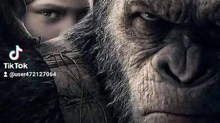 Rise of the planet of Apes
