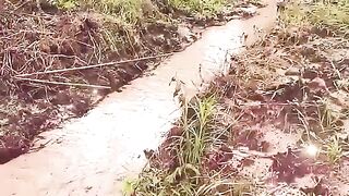 Sungai kecil