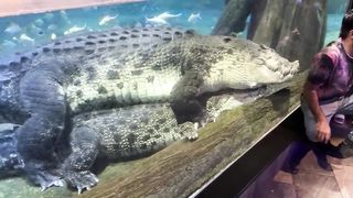 Ducky Bhai in Dubai Aquarium | Dubai Vlog