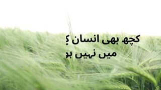 What is a successful ISLAMIC mindset?| How to be brave Muslim?|whatnhow100