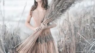 song  nce