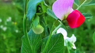 Beautiful nature ????????