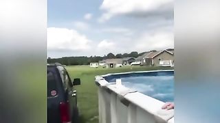 The funny videos