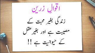 10_beatiful_urdu_thoughts___aqwal_e_zareen