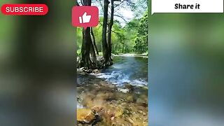 How beautiful it is