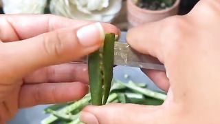 Bhindi Masala Recipe