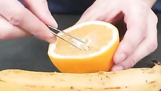Plant crafty ideas