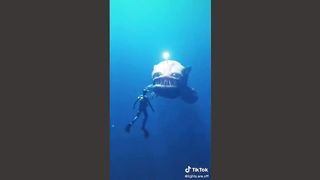 Lights.Are.Off Scariest Compilation Of TikTok P.2 #lightsareoff #scary #nightmares