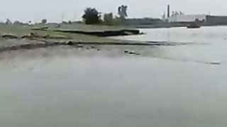 Video from India