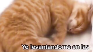 Yo puedo, no puedo