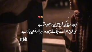 Pocketmoney love