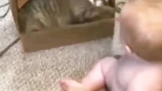 Le bébé et le chat très mignon !!!