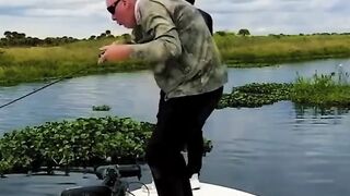 Funny FAILS