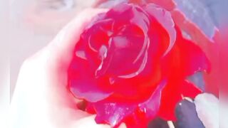 Love rosa