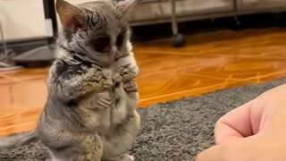 So cute????????