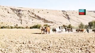 Balochi songs