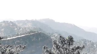 Beautiful view