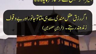 Urdu Aqwal | Rizq aur Aqal | Quotes of Masumeen